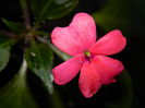 DSCN6802
