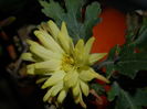 DSCN6803