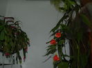 DSCN6818