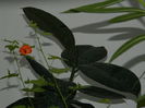 DSCN6820