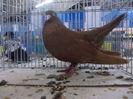 DSCN0029