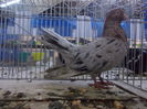 DSCN0030