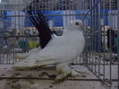 DSCN0033