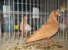 DSCN0038