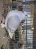 DSCN0074