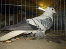 DSCN0091