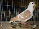 DSCN0093