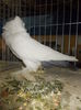 DSCN0098