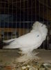 DSCN0099