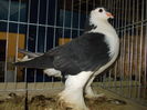 DSCN0106