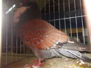 DSCN0109