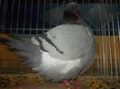 DSCN0123