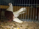 DSCN0131