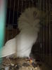 DSCN0136