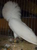 DSCN0137