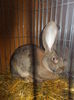 DSCN0147