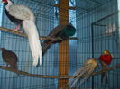 DSCN0154
