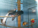 DSCN0155