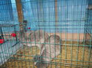 DSCN0160