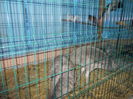 DSCN0162