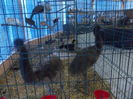 DSCN0163