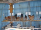 DSCN0180