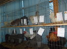 DSCN0185