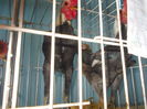 DSCN0189