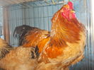 DSCN0195