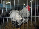 DSCN0202