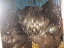 DSCN0206