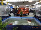 DSC00719