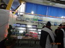 DSC00728