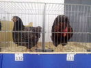 100963361_ZLXEPWW