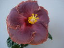 DSC04418