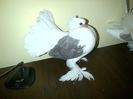IMG-20160120-00201