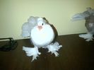 IMG-20160120-00203