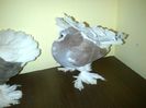 IMG-20160120-00205