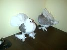 IMG-20160120-00206