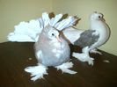 IMG-20160120-00207
