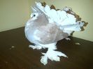 IMG-20160120-00208