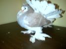 IMG-20160120-00209