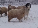 20160116_130655