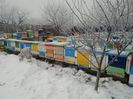 IMG_20160120_095356