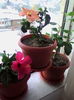 IMG_20160122_083757