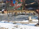 20160122_132806