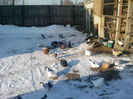 IMG_20160122_152514