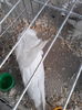 IMG_20160122_145600