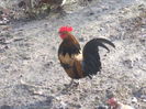 DSCF6173