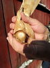 20160123_113051